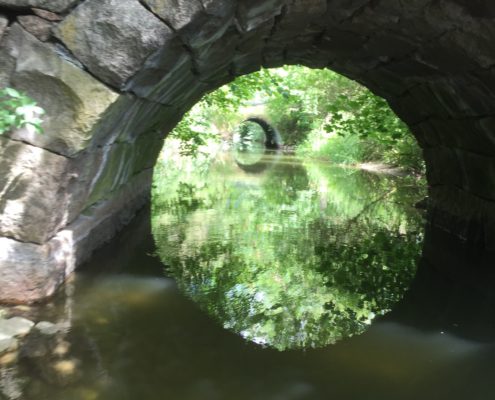 Kanalen mellan Oppmanna- och Ivösjön - Fotograf Ann-Lis Pilbäck