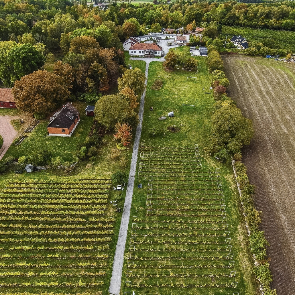 Ivögården mat och vingård