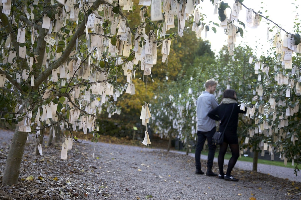 67_Yoko Ono_Wish Trees for Wanas, 1996 2011_Wanas Konst_Photo Mattias Givell
