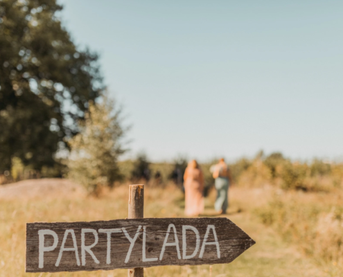 Stubbahagens lada