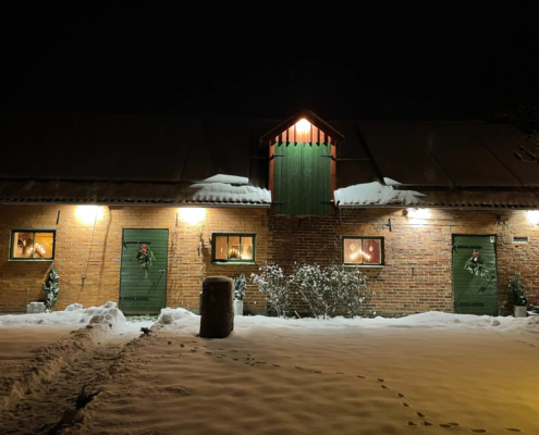 Vinter på Stubbahagen